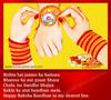 RAKHI FESTIVAL